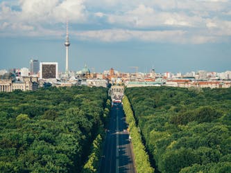Berlin’s highlights private and guided tour with pick up